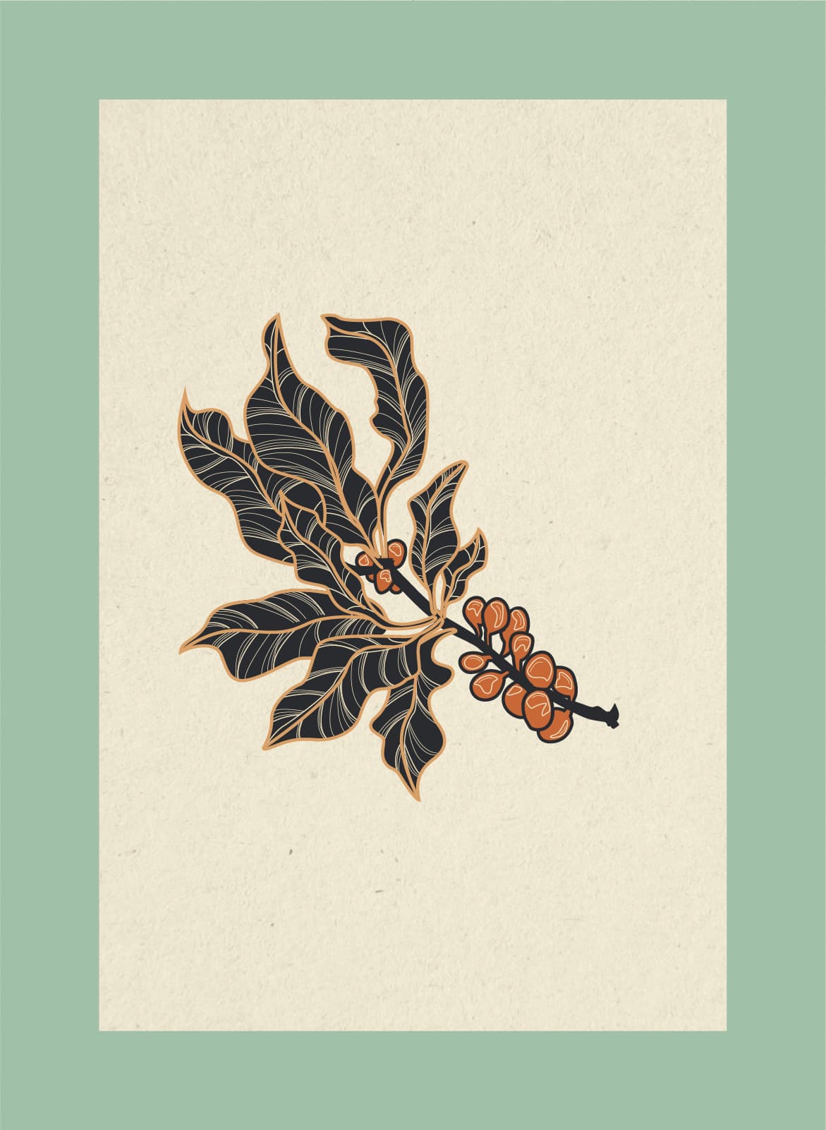 roots coffee house branding design illustration coffee plant
