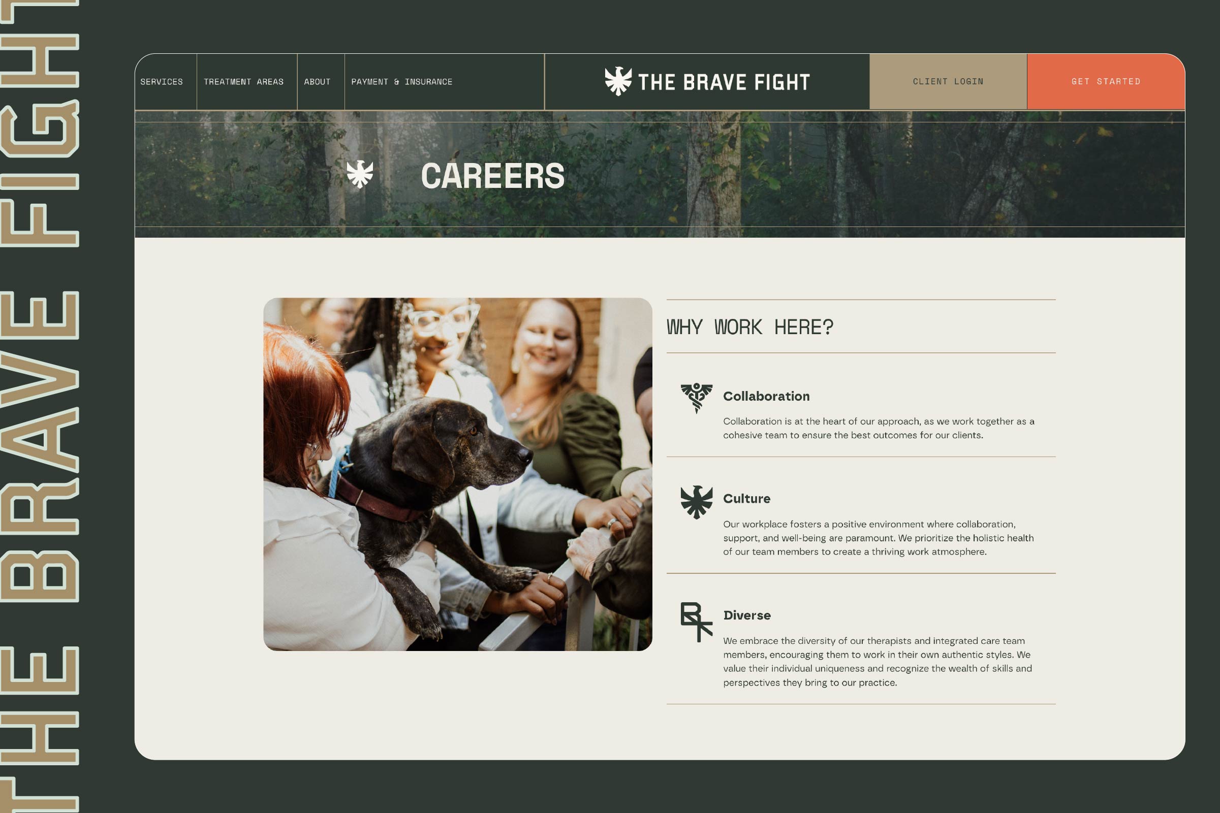 the brave fight branding and web design and development