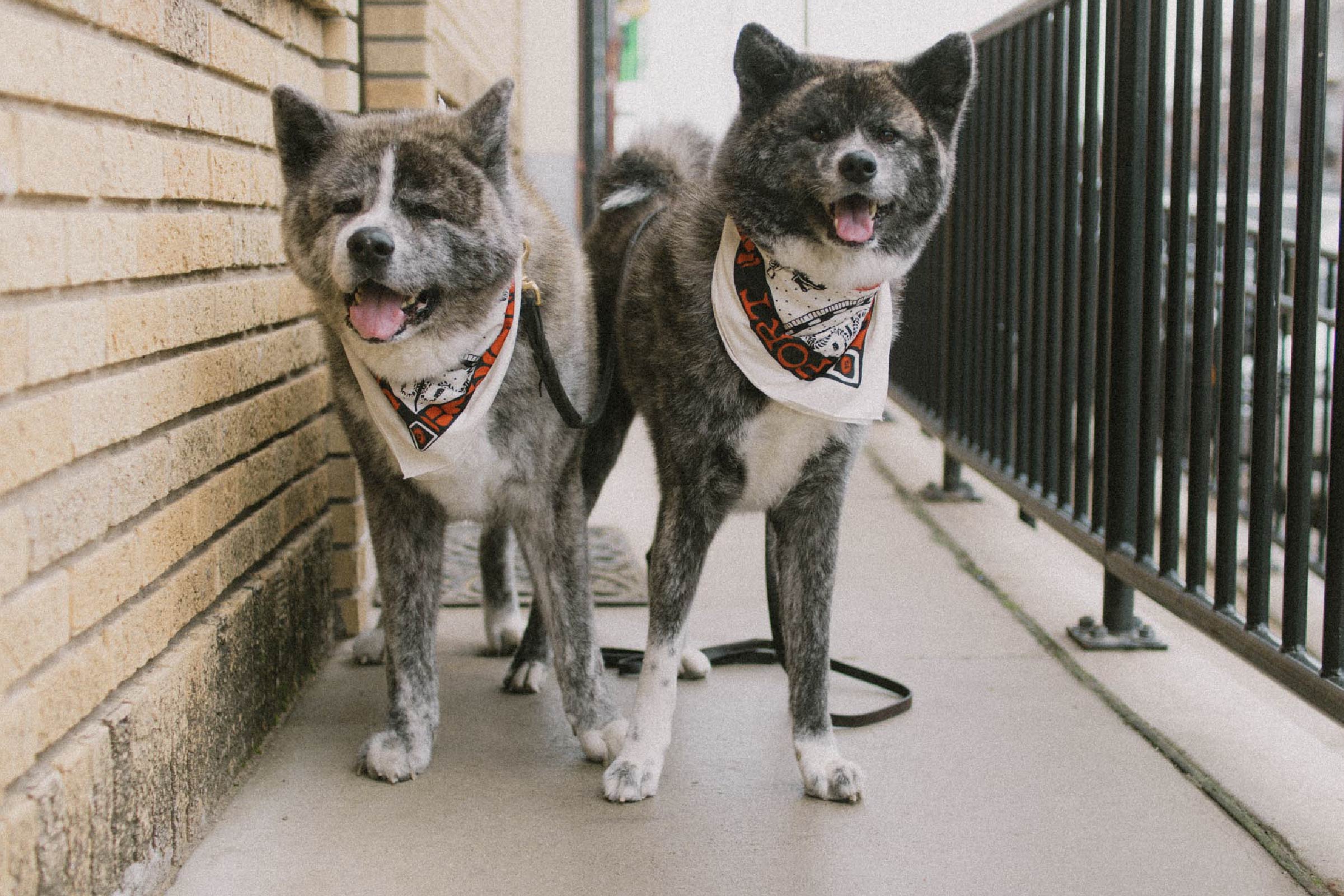 toki and cyan cooper model the bandana for FWSF